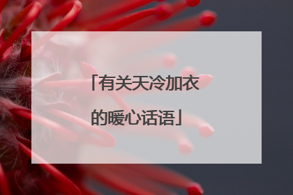 有关天冷加衣的暖心话语