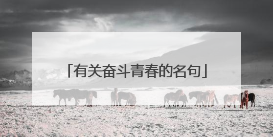 有关奋斗青春的名句