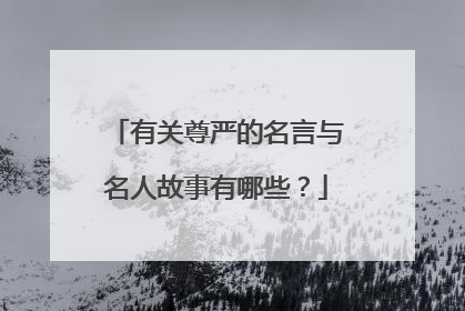 有关尊严的名言与名人故事有哪些?