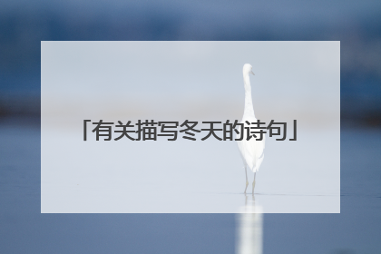 有关描写冬天的诗句