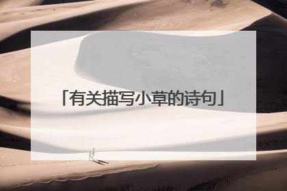 有关描写小草的诗句