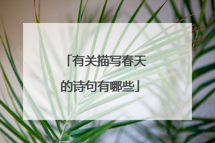 有关描写春天的诗句有哪些