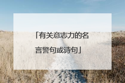 有关意志力的名言警句或诗句