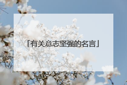 有关意志坚强的名言