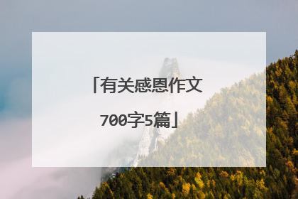 有关感恩作文700字5篇