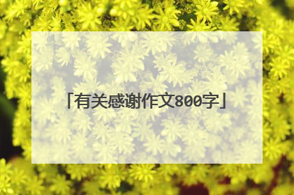 有关感谢作文800字