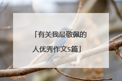 有关我最敬佩的人优秀作文5篇