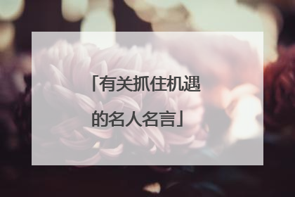 有关抓住机遇的名人名言