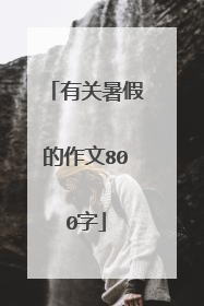 有关暑假的作文800字