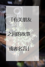 有关朋友之间的故事或者名言