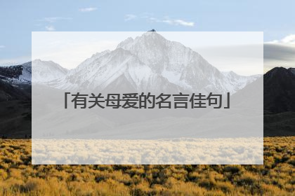 有关母爱的名言佳句