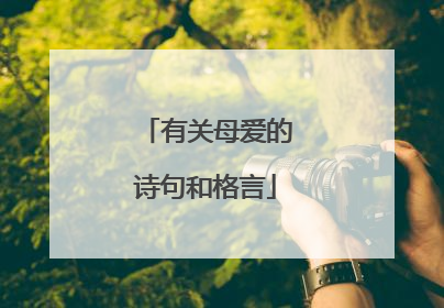 有关母爱的诗句和格言