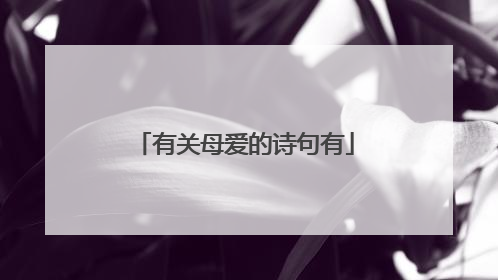 有关母爱的诗句有