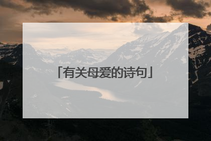 有关母爱的诗句