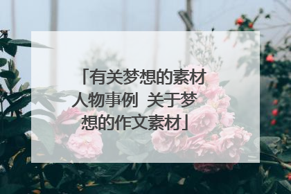 有关梦想的素材人物事例 关于梦想的作文素材
