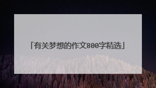 有关梦想的作文800字精选