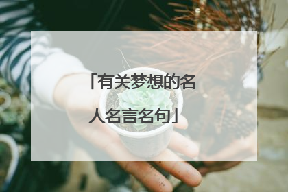 有关梦想的名人名言名句