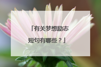 有关梦想励志短句有哪些？