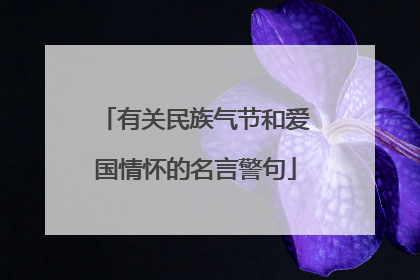 有关民族气节和爱国情怀的名言警句