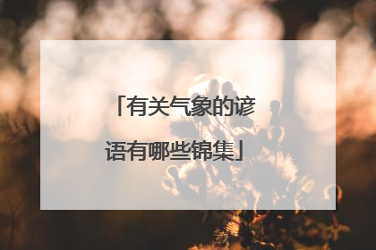有关气象的谚语有哪些锦集