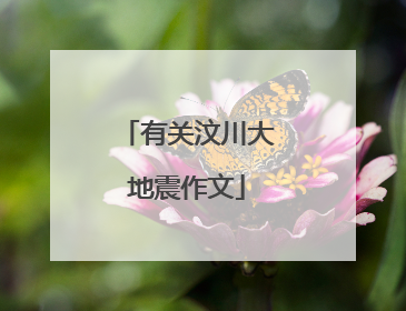 有关汶川大地震作文