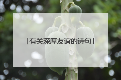 有关深厚友谊的诗句