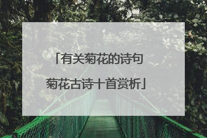 有关菊花的诗句 菊花古诗十首赏析