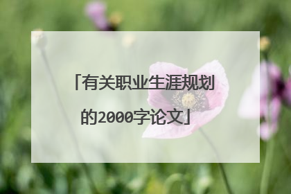 有关职业生涯规划的2000字论文