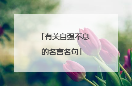 有关自强不息的名言名句