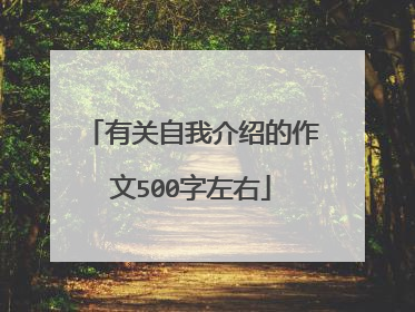 有关自我介绍的作文500字左右