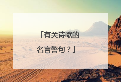 有关诗歌的名言警句？