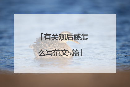 有关观后感怎么写范文5篇