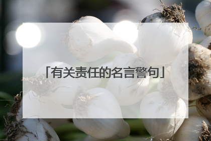 有关责任的名言警句