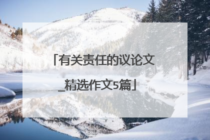 有关责任的议论文_精选作文5篇