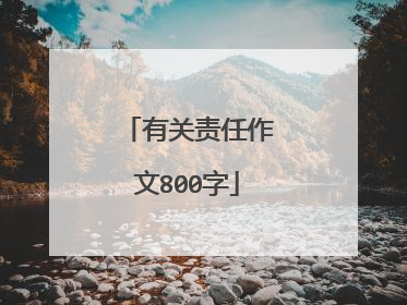 有关责任作文800字