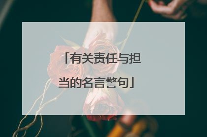 有关责任与担当的名言警句