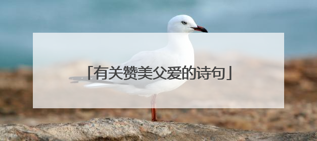 有关赞美父爱的诗句