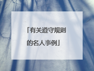 有关遵守规则的名人事例