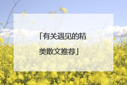 有关遇见的精美散文推荐