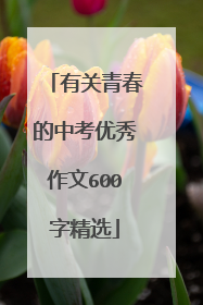 有关青春的中考优秀作文600字精选