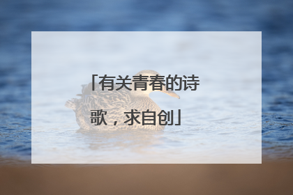 有关青春的诗歌，求自创