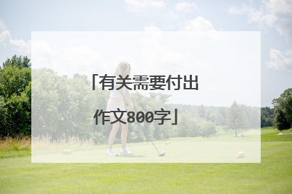 有关需要付出作文800字