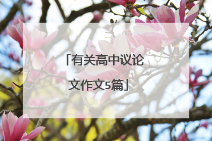有关高中议论文作文5篇