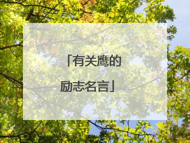 有关鹰的励志名言