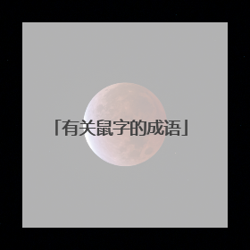 有关鼠字的成语