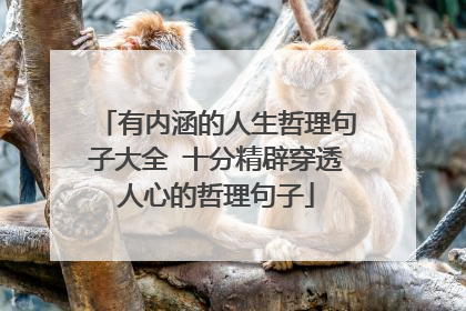 有内涵的人生哲理句子大全 十分精辟穿透人心的哲理句子