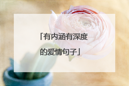 有内涵有深度的爱情句子
