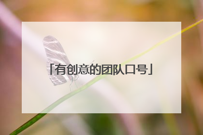 有创意的团队口号