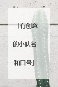 有创意的小队名和口号