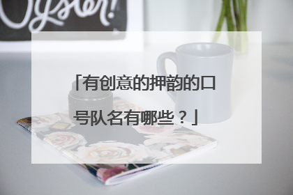 有创意的押韵的口号队名有哪些?